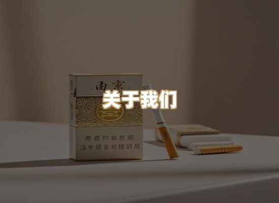 关于金鹤网